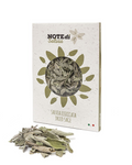 Salvia Essiccata – Campo di Papi